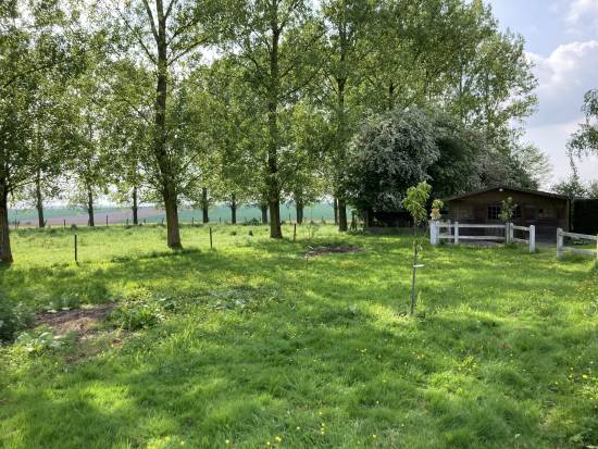 Maison en viager occupé avec sous-sol complet – Opportunité unique à Saint-Pol-sur-Ternoise